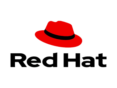 Red Hat build of OpenJDK for Servers - premium subscription (1 year) - 200 cores