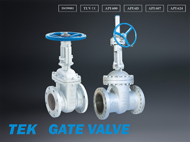 Tek Gate Valve