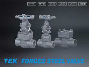 Tek API Forged Steel Valve